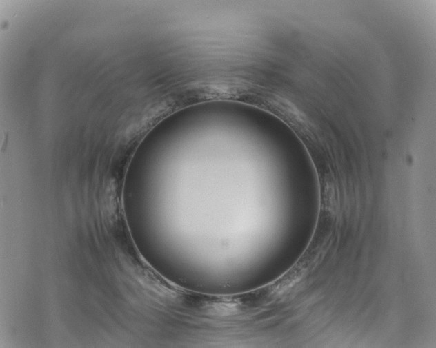 X0000074290318200609011413