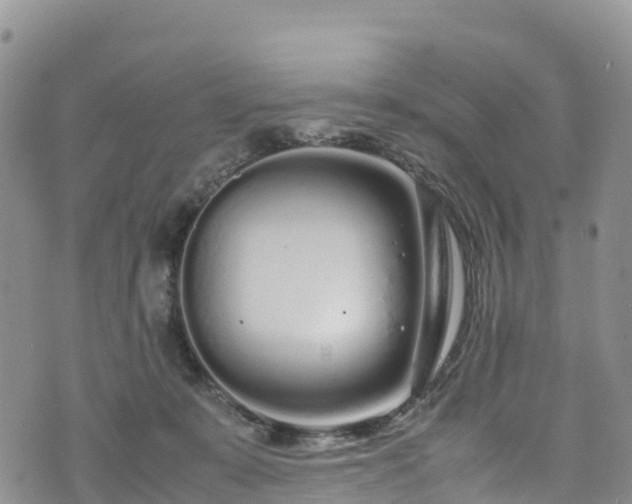 X0000074290319200609011413