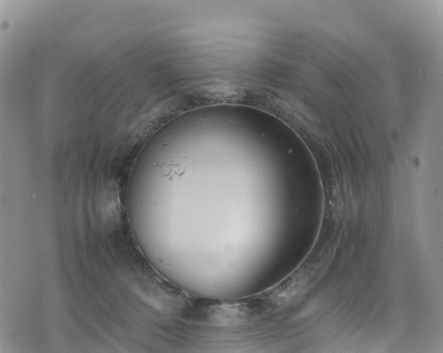 X0000074290320200609011413