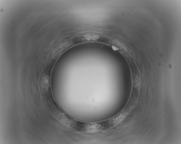 X0000074290321200609011413