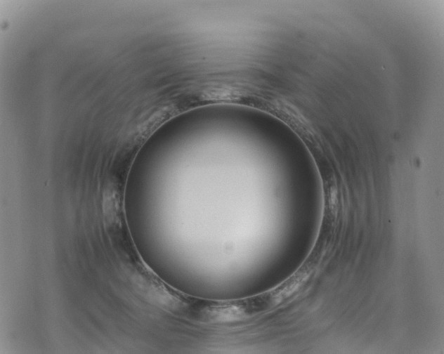 X0000074290322200609011413