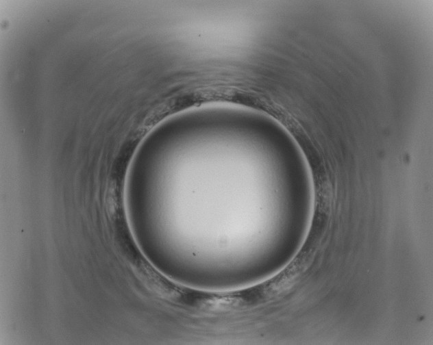 X0000074290323200609011413