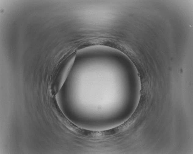 X0000074290325200609011413