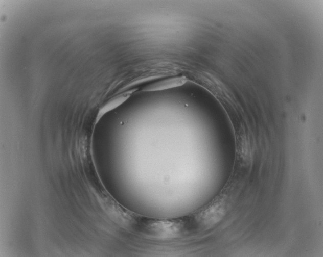 X0000074290326200609011413