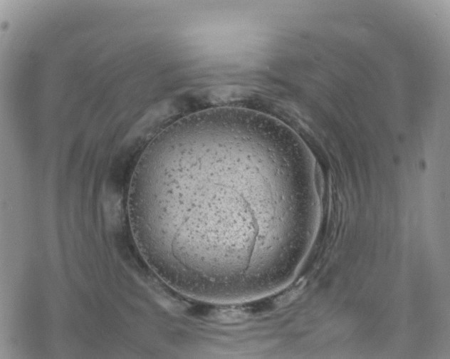 X0000074290327200609011413