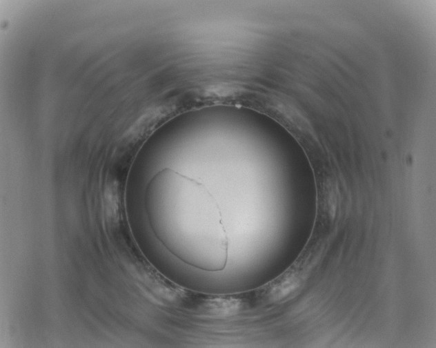 X0000074290328200609011413