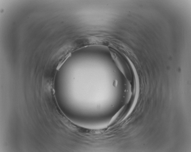 X0000074290329200609011413