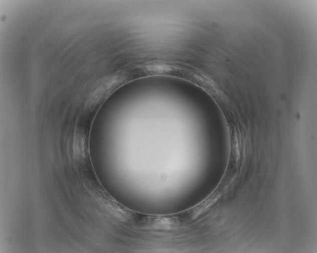 X0000074290330200609011413