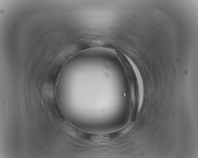 X0000074290331200609011413