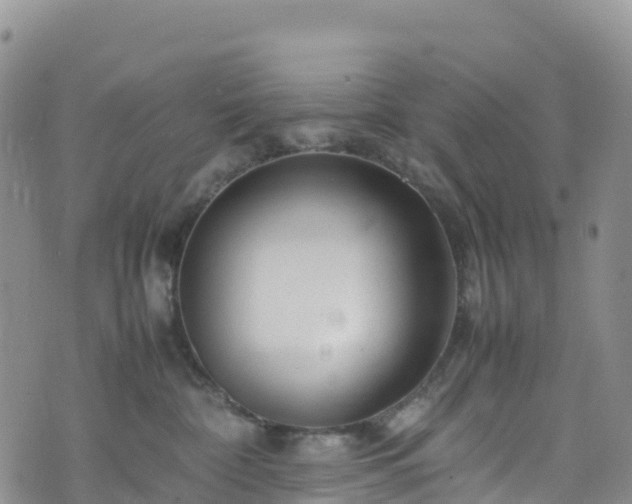 X0000074290332200609011413