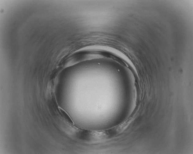 X0000074290333200609011413