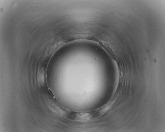 X0000074290334200609011413