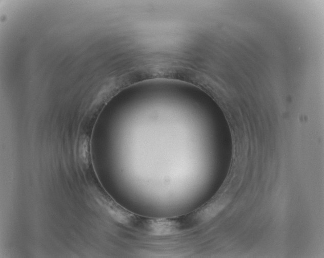 X0000074290336200609011413