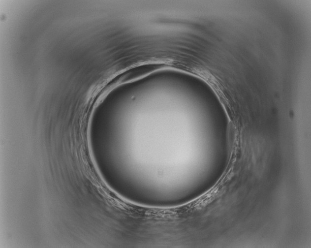 X0000074290337200609011412