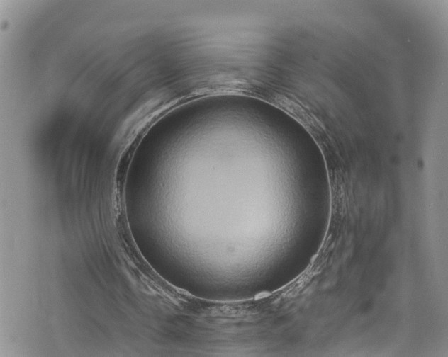 X0000074290338200609011412