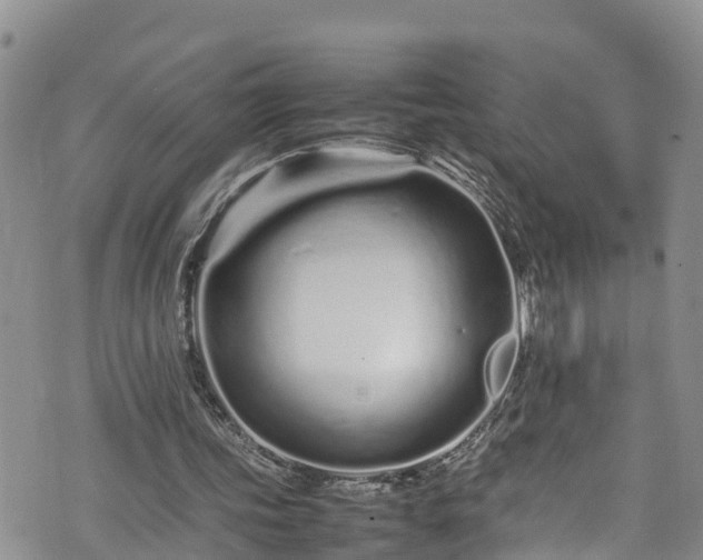 X0000074290339200609011412