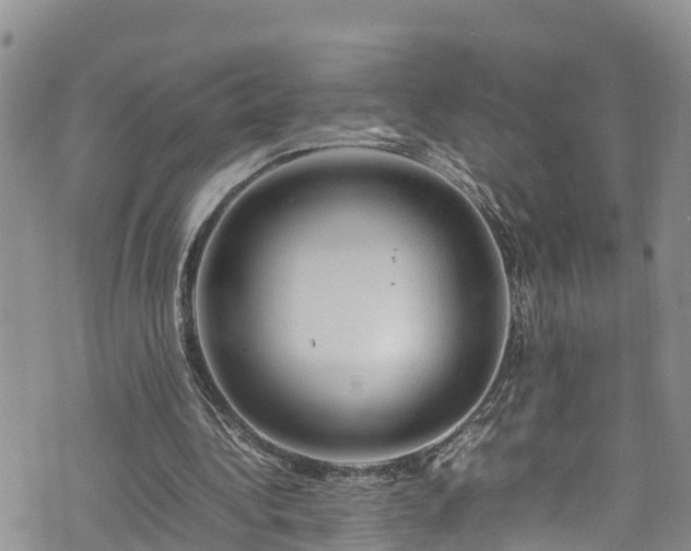 X0000074290340200609011412