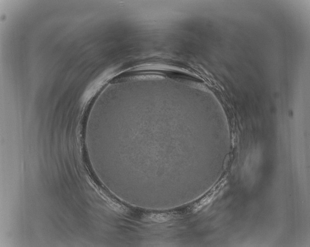 X0000074290341200609011412