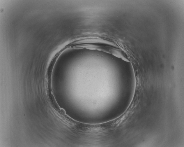 X0000074290342200609011412