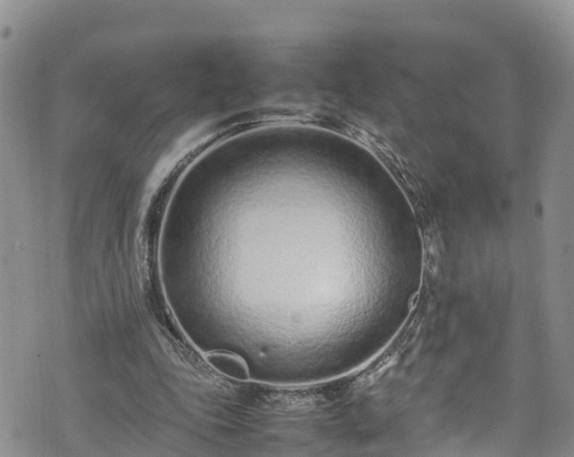 X0000074290343200609011412