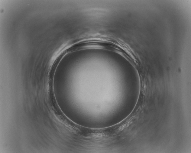 X0000074290344200609011412