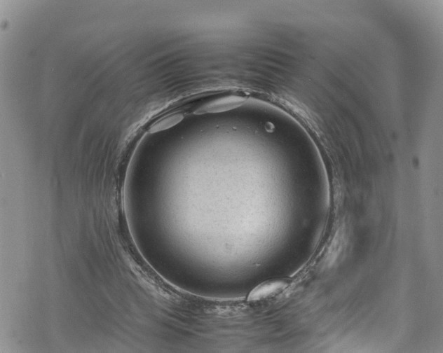 X0000074290345200609011412