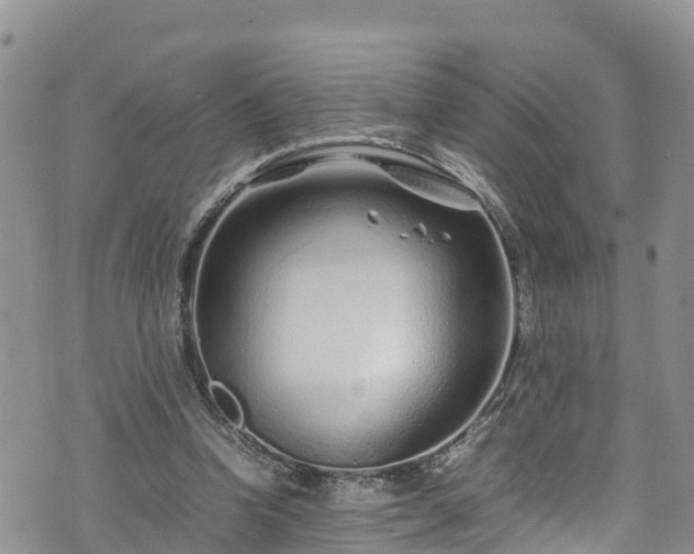 X0000074290346200609011412