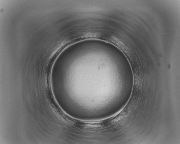 X0000074290347200609011412