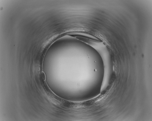 X0000074290348200609011413