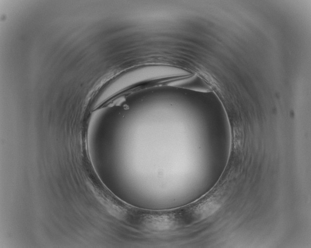 X0000074290349200609011413