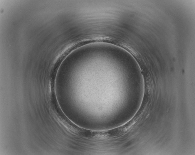 X0000074290350200609011413