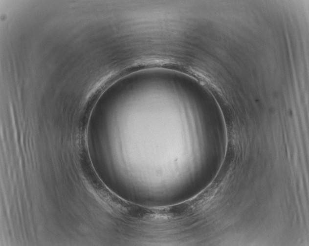 X0000074290352200609011413