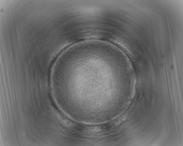 X0000074290353200609011413