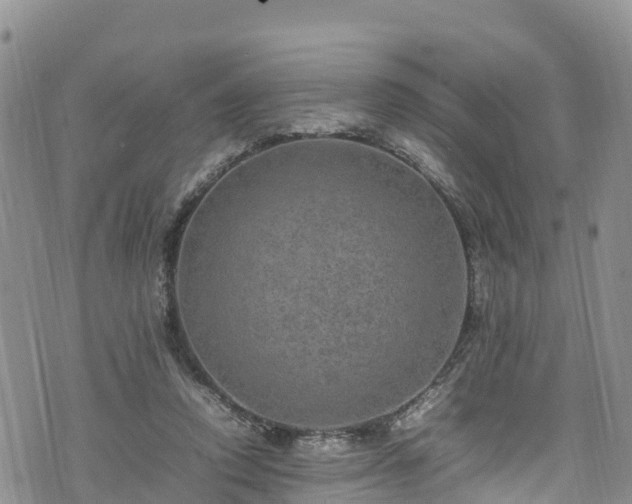 X0000074290354200609011413