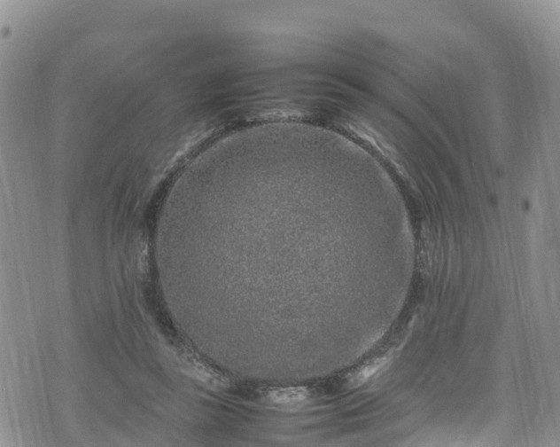 X0000074290355200609011413