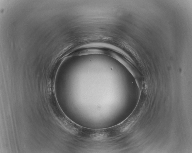 X0000074290356200609011413