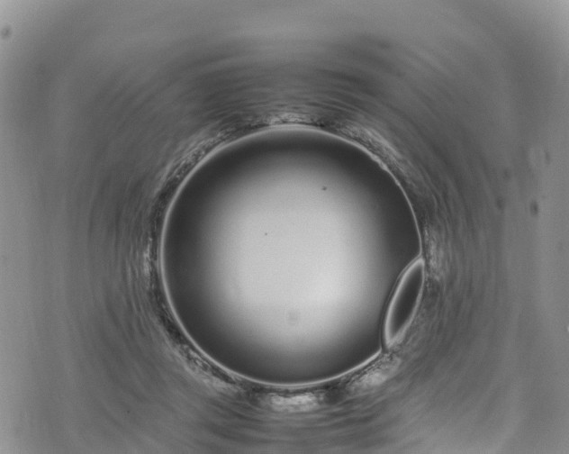 X0000074290357200609011413