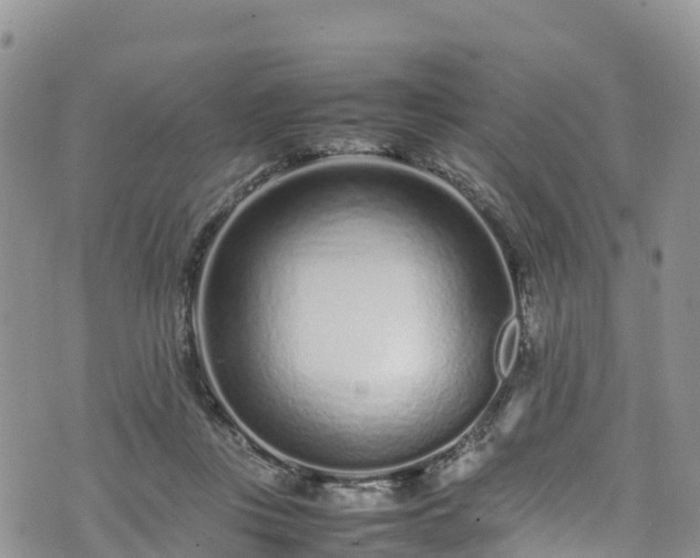 X0000074290359200609011413