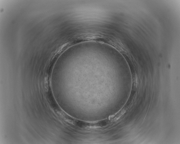 X0000074290360200609011413