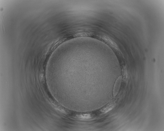 X0000074290361200609011413