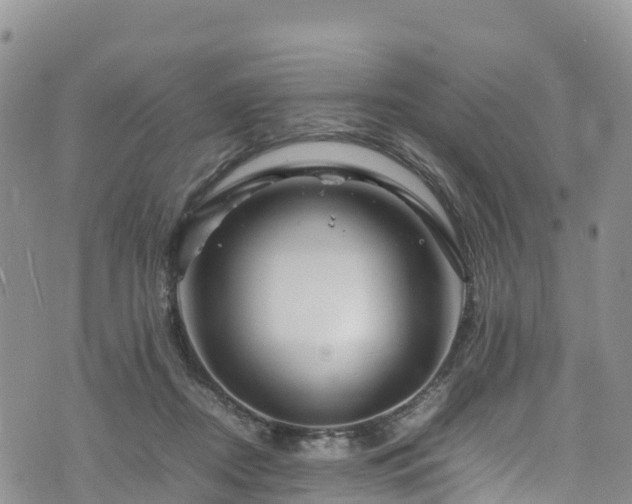 X0000074290362200609011413