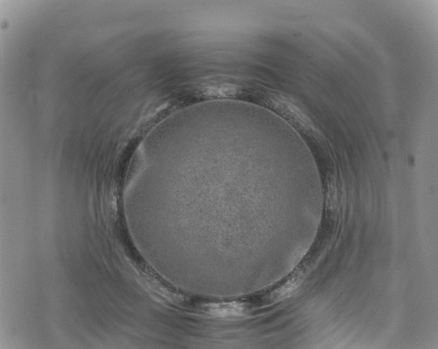 X0000074290363200609011413