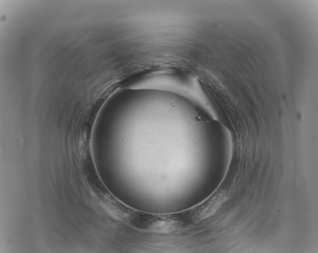 X0000074290364200609011413