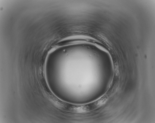 X0000074290365200609011413