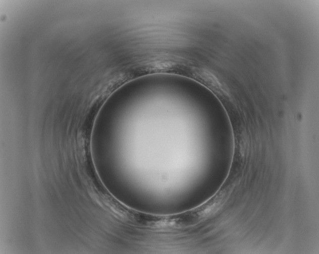 X0000074290366200609011413