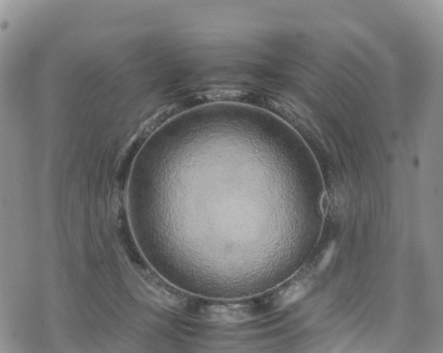 X0000074290367200609011413