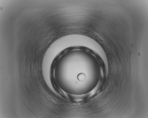 X0000074290368200609011413