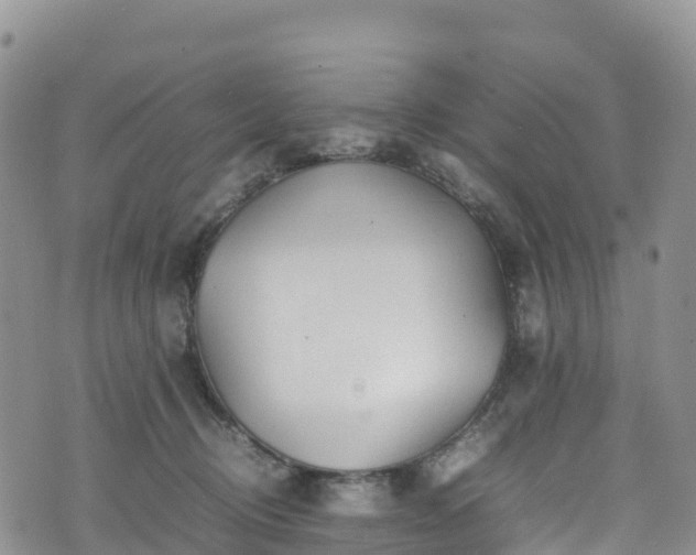 X0000074290370200609011413