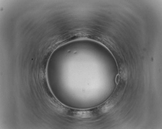 X0000074290371200609011413