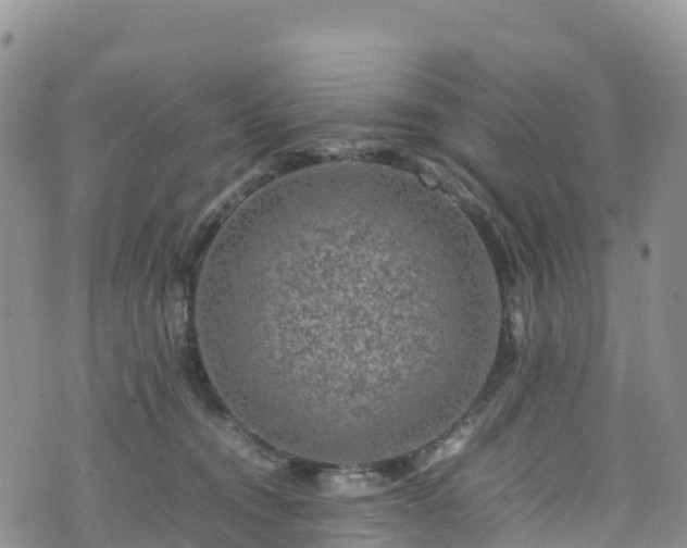 X0000074290372200609011413